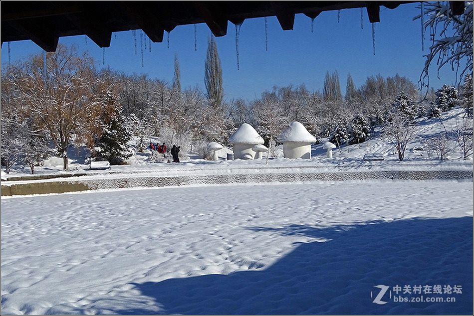 【  冰雪童话世界  】