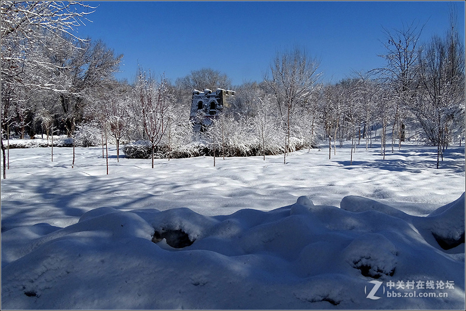 【  冰雪童话世界  】