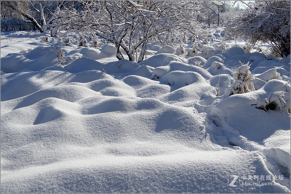【  冰雪童话世界  】