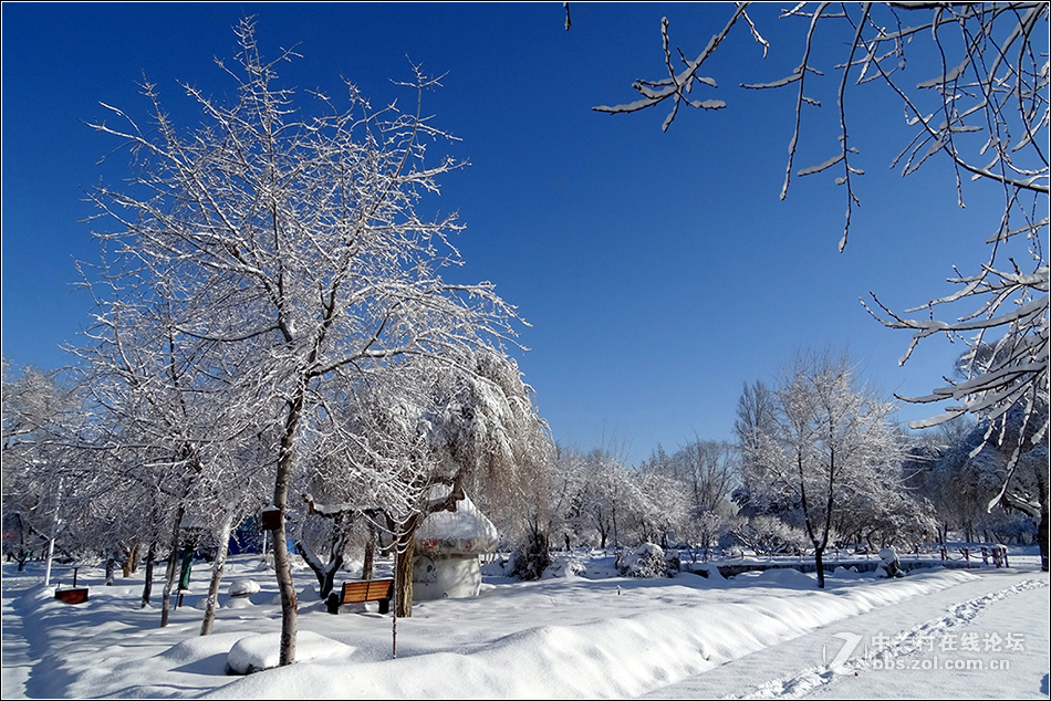 【  冰雪童话世界  】
