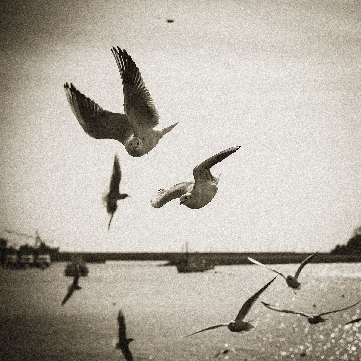 #版主坐堂# 尼康镜头星空(中国)2020年6月部分优秀作品欣赏