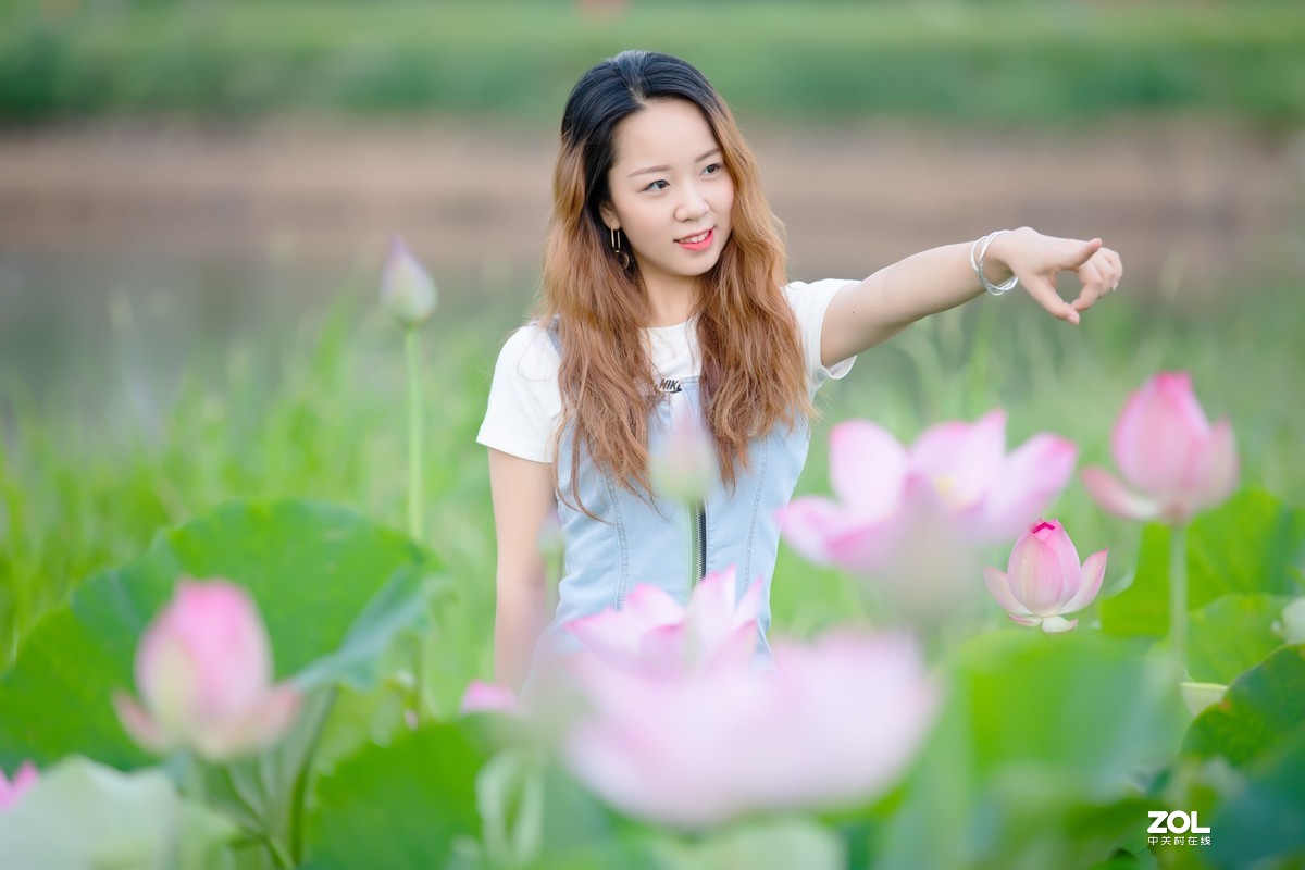 为荷而来  相约藕花深处