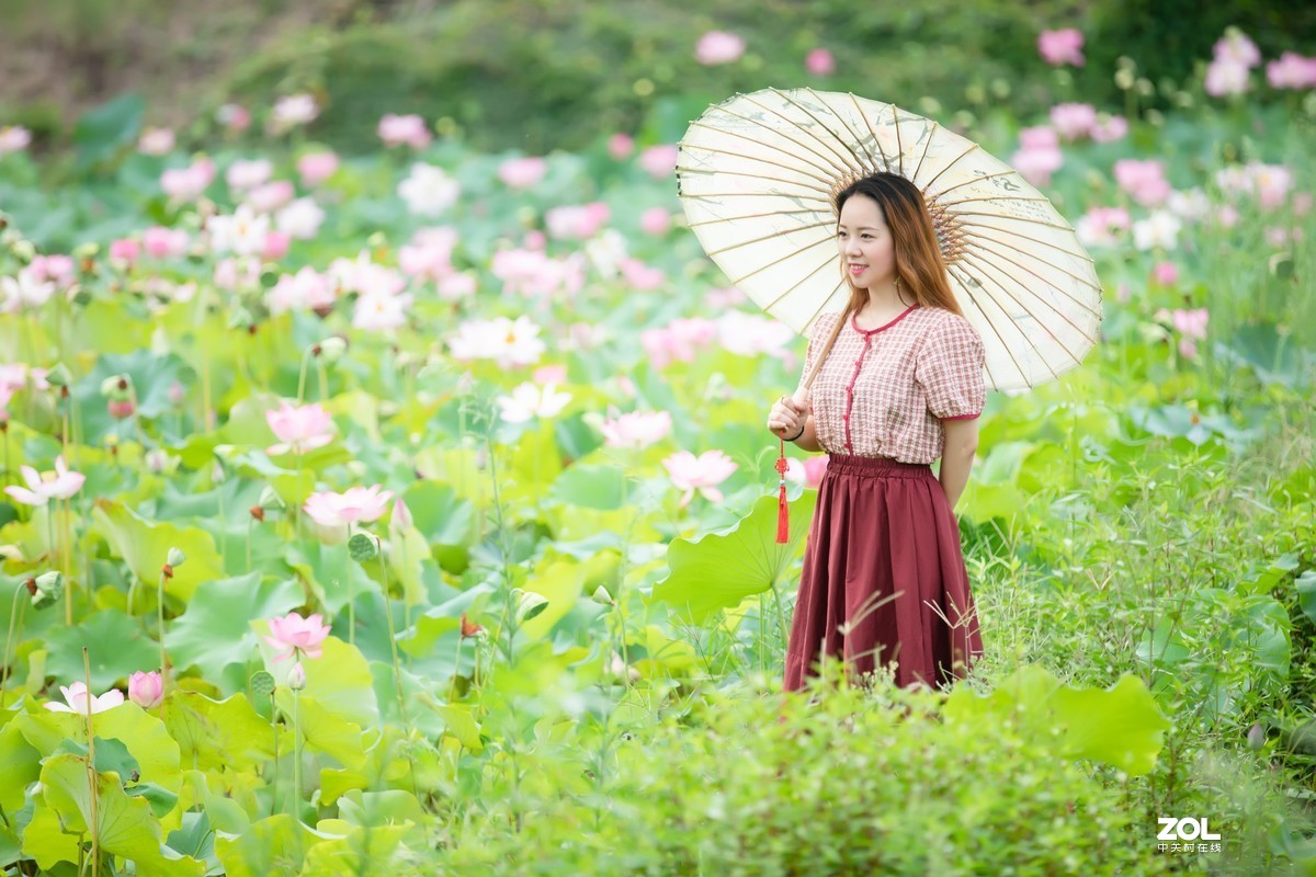 为荷而来  相约藕花深处