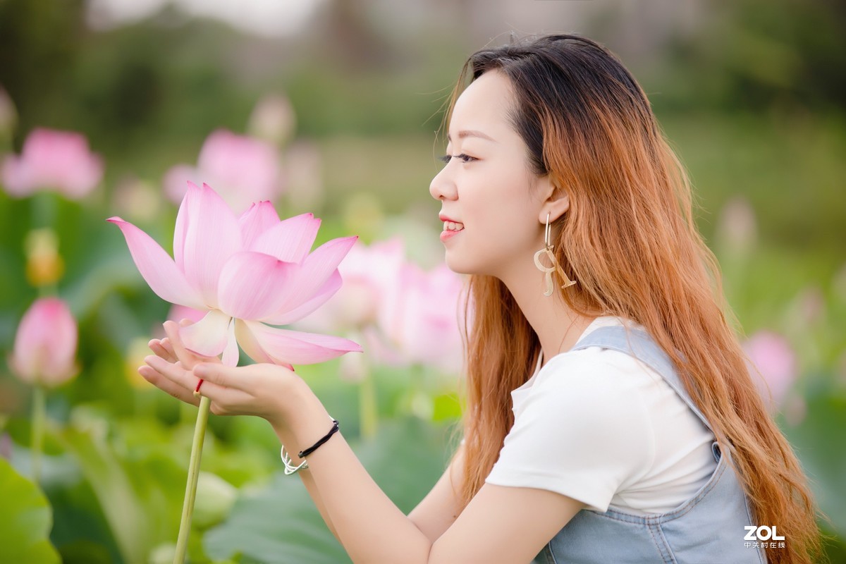 为荷而来  相约藕花深处