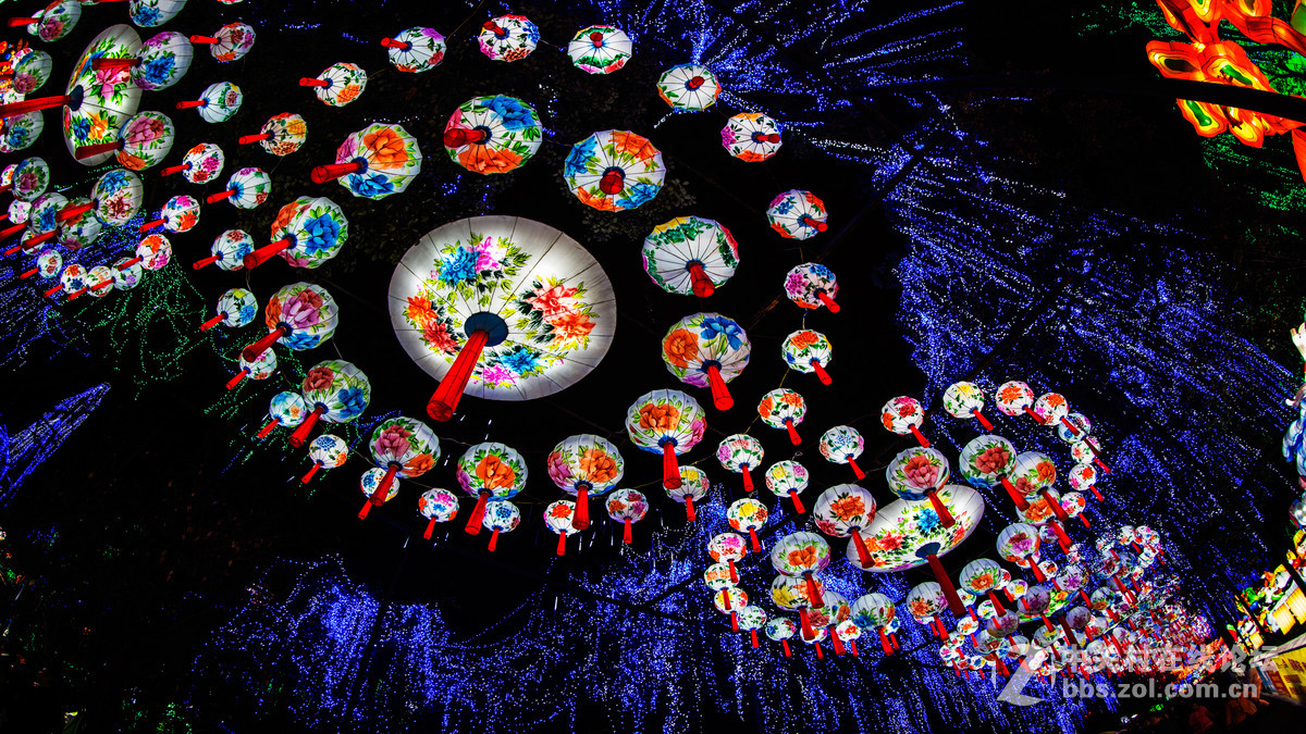 带着鱼眼看灯会