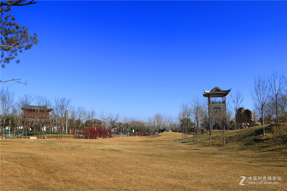 冬拍园博园系列之9.