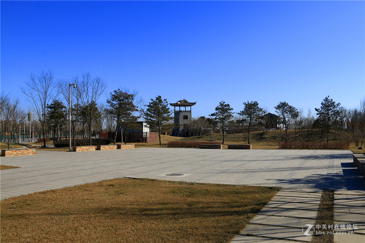 冬拍园博园系列之9.