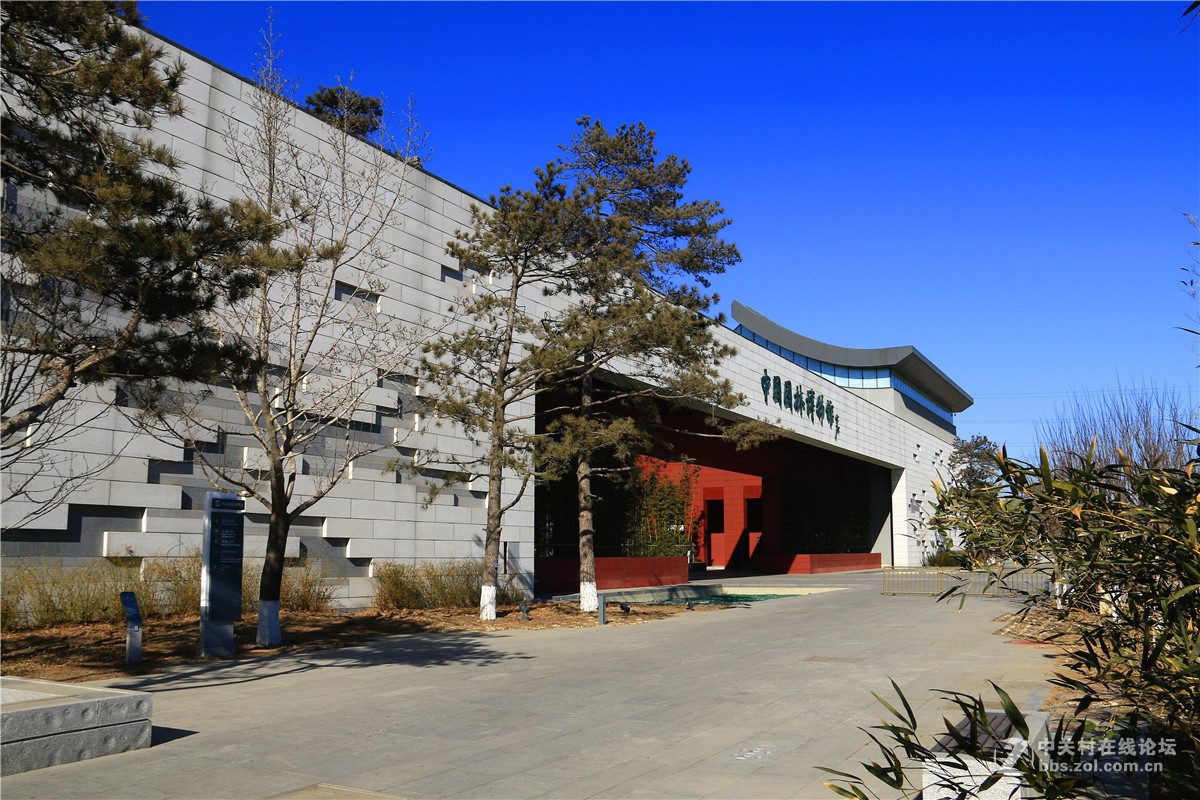 冬拍园博园系列之9.