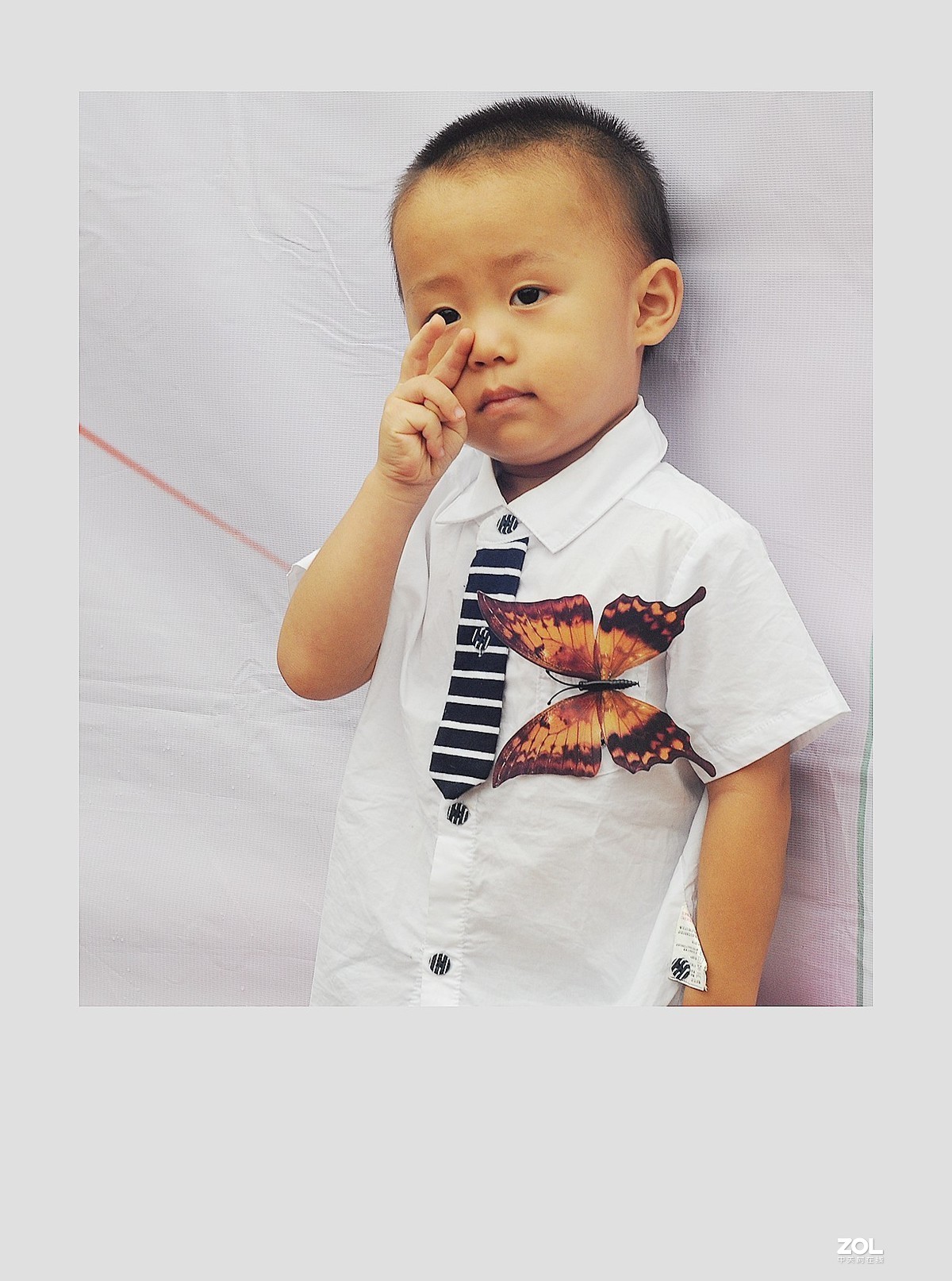 我是幼芽班新同学