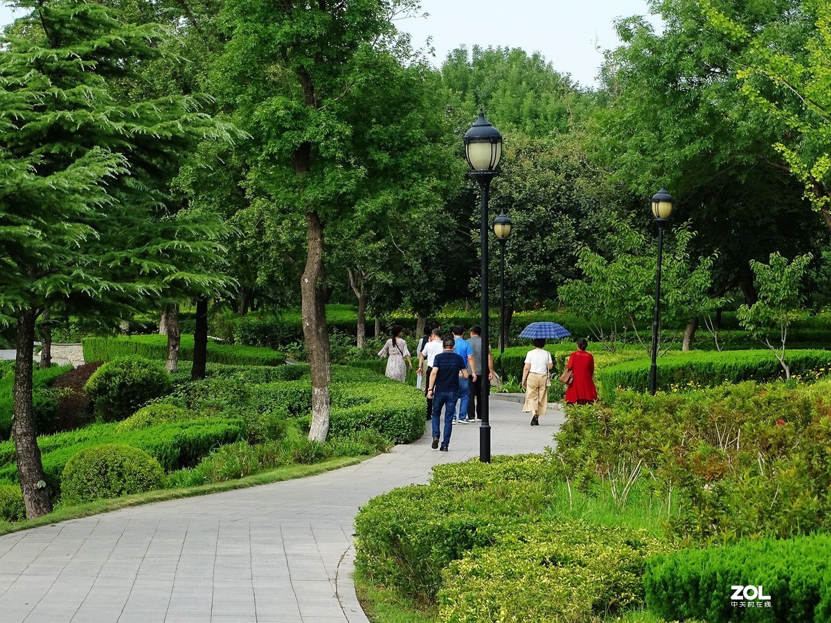 走走拍拍（2019年8月25日-10）