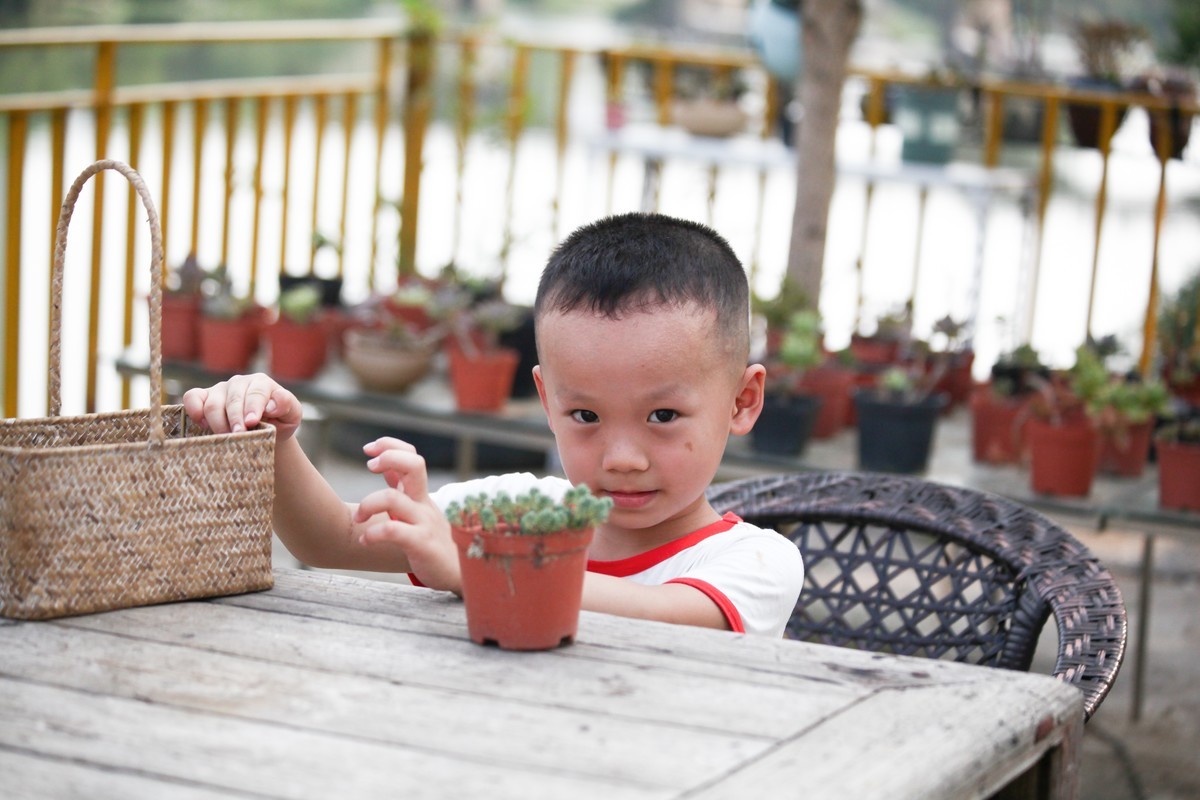 多肉园拍小朋友