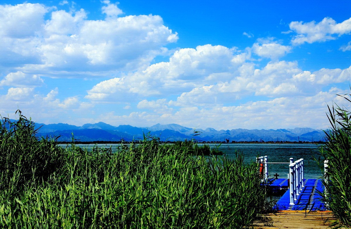 銀川沙湖景區