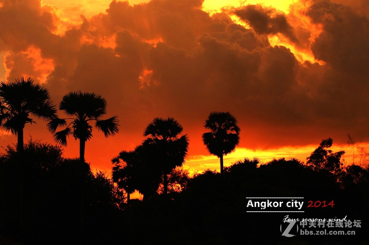 金色的晚霞之四