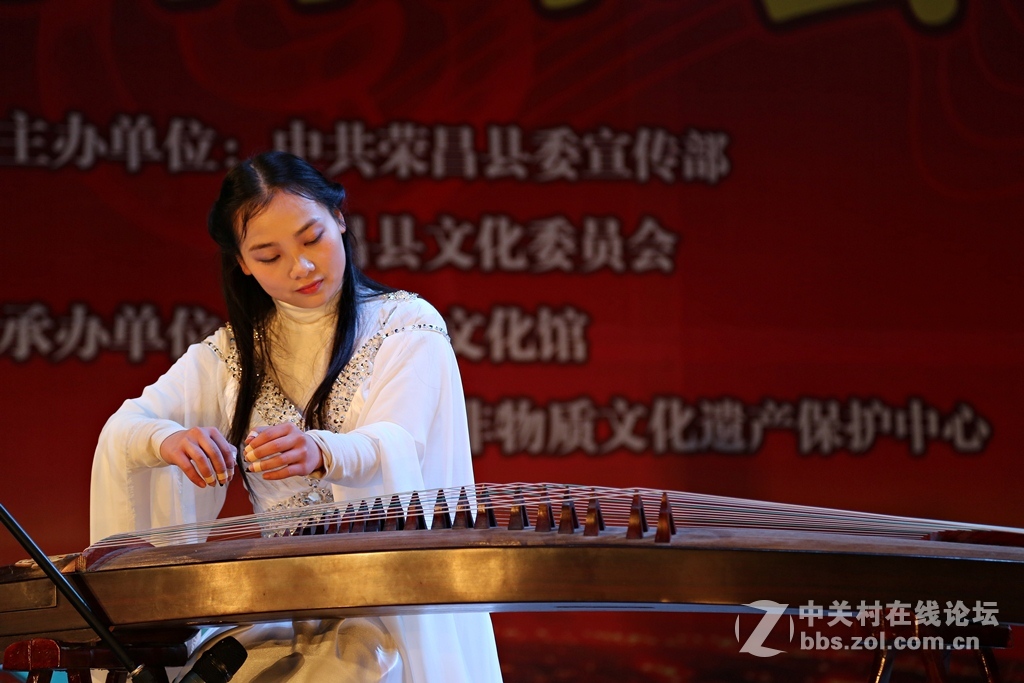 2015陶笛音乐晚会（10幅）