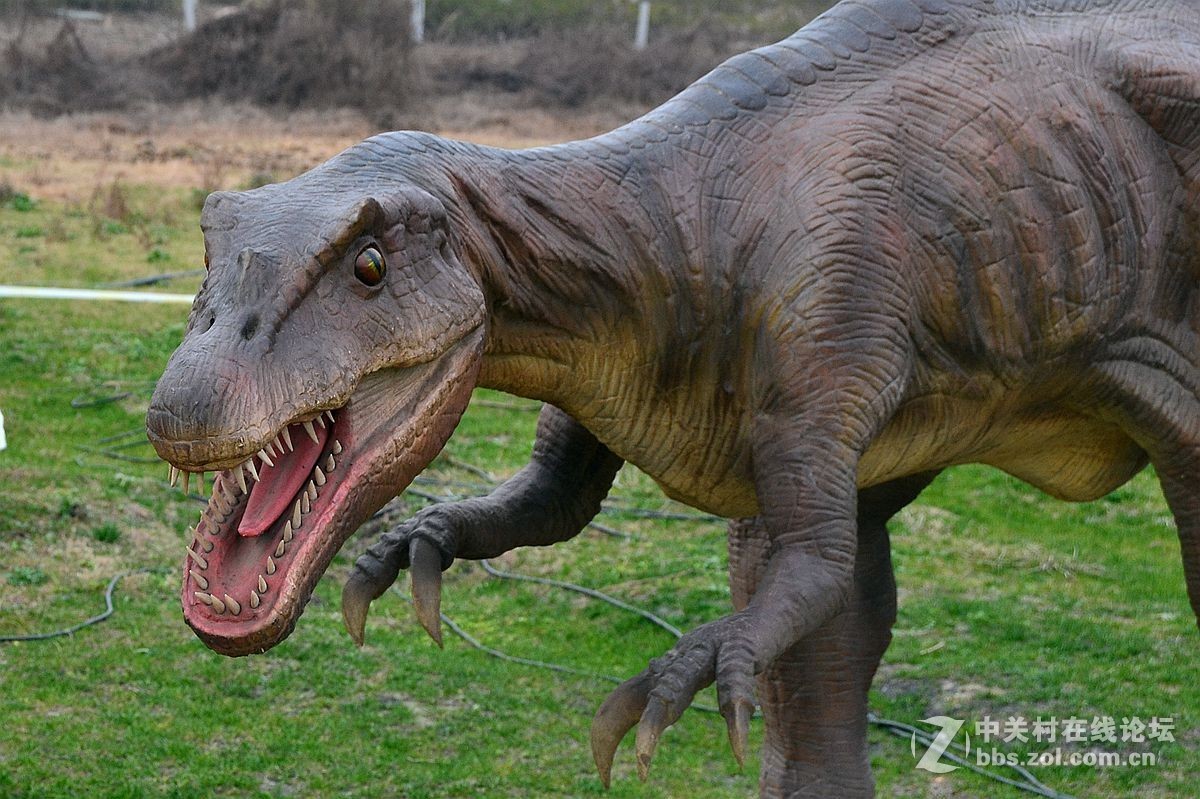 恐龙真的复活了吗