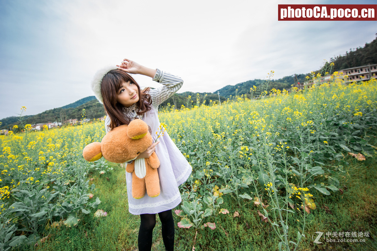 《金灿的时光之旅》--1124实拍大景油菜花人像