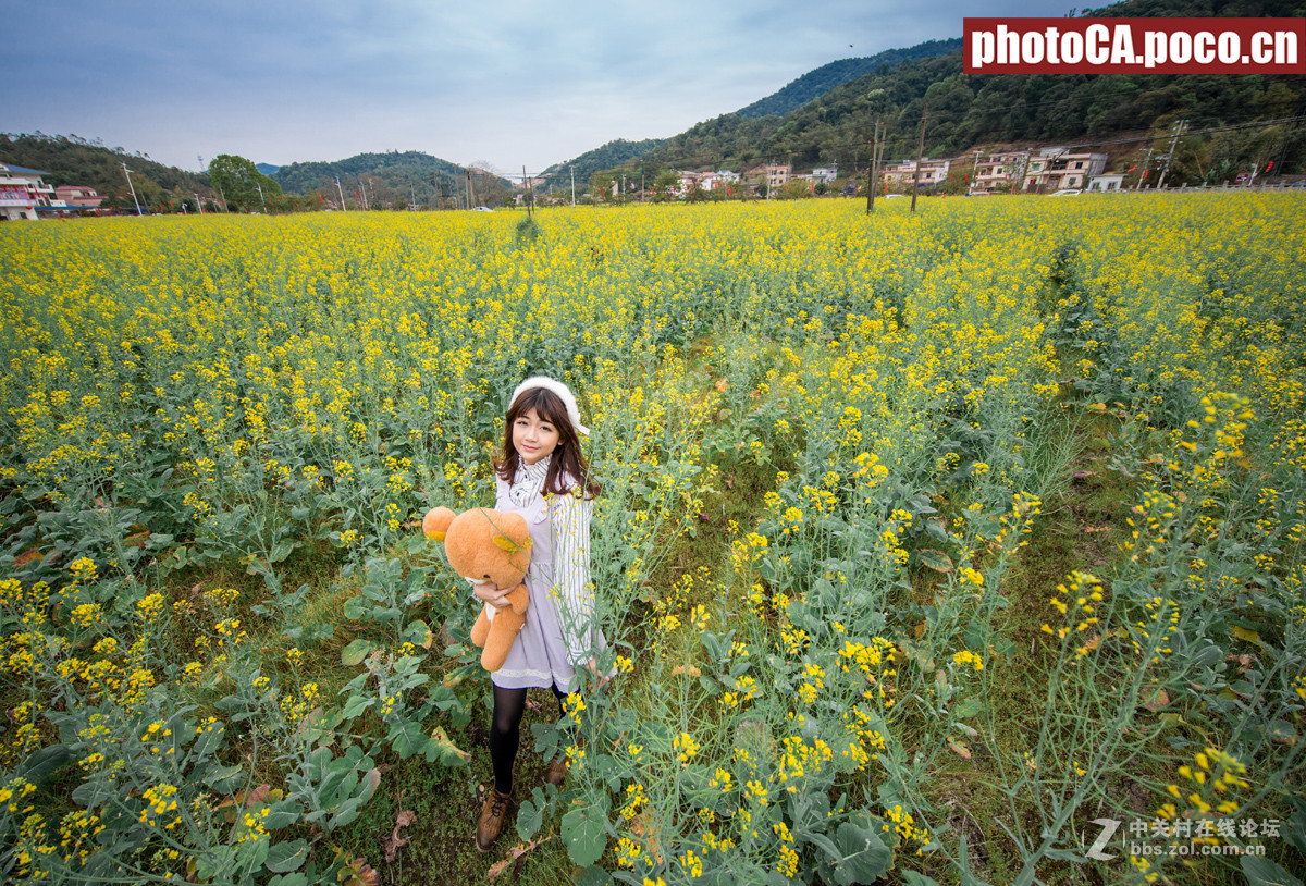 《金灿的时光之旅》--1124实拍大景油菜花人像