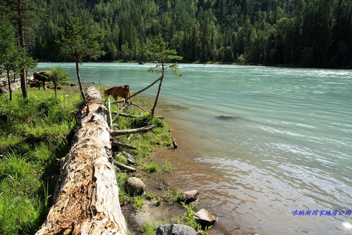 旅游回顾—新疆（二）