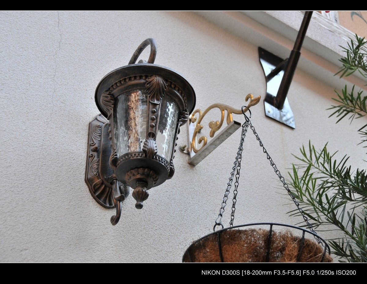 新入尼康18-200VR试镜；画质细腻锐利，色彩鲜艳饱满，好头！