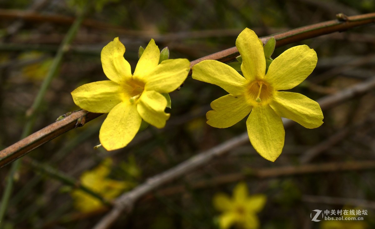 闲着没事，学学简单后期，请大家指点
