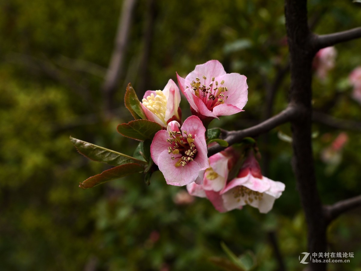 闲着没事，学学简单后期，请大家指点