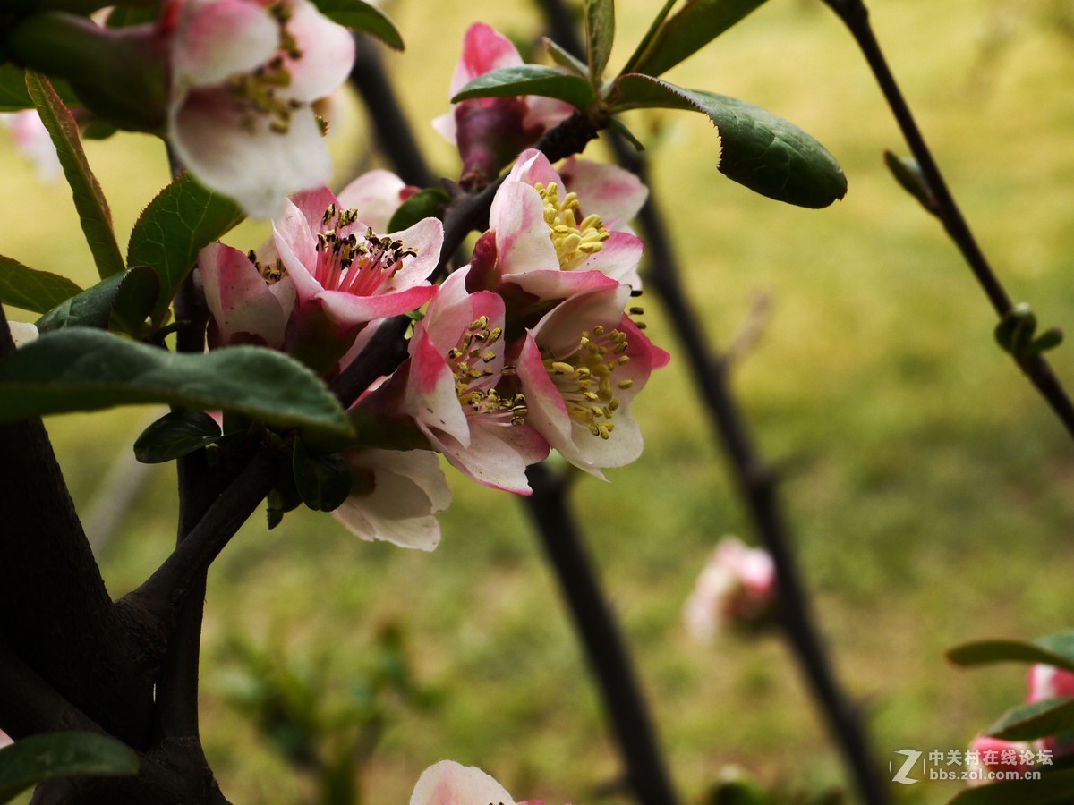 闲着没事，学学简单后期，请大家指点
