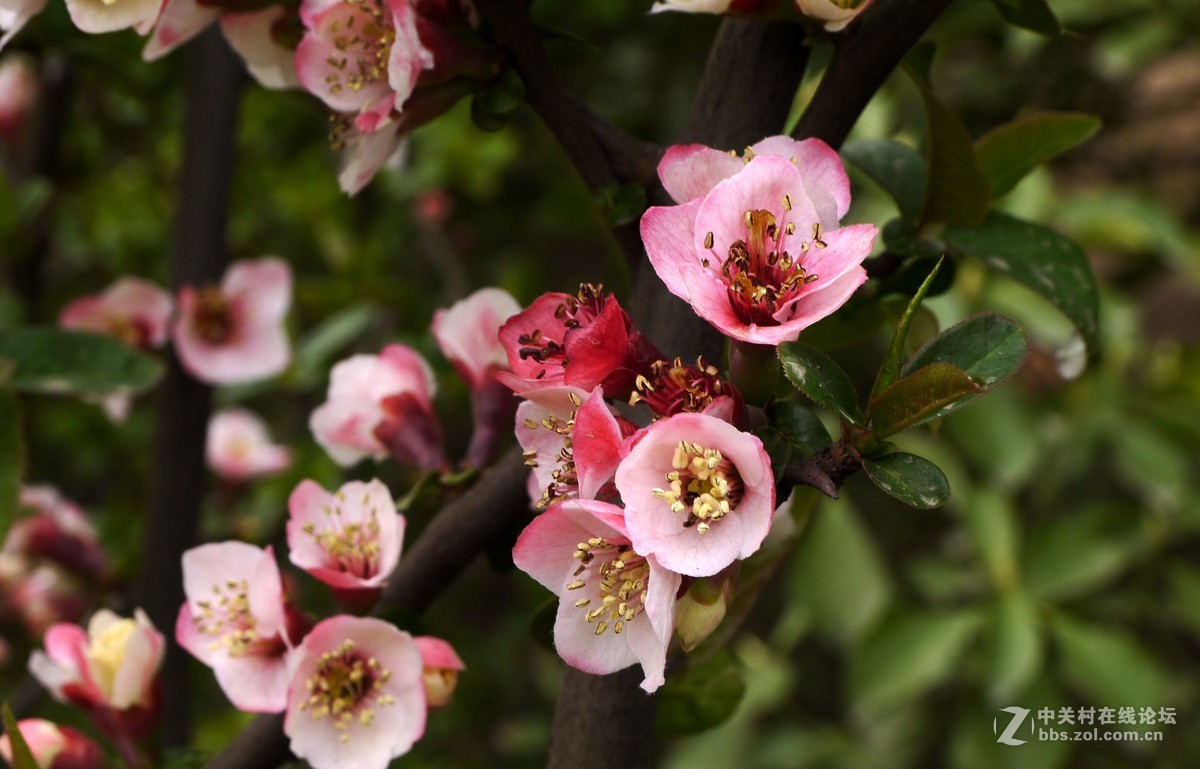 闲着没事，学学简单后期，请大家指点