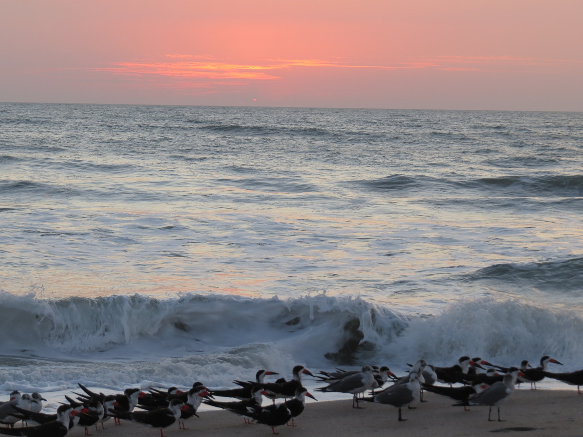 现拍现传海上日出10张