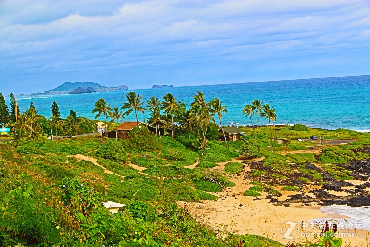 纽约第五大道 帝国大厦 苹果店 夏威夷 随拍