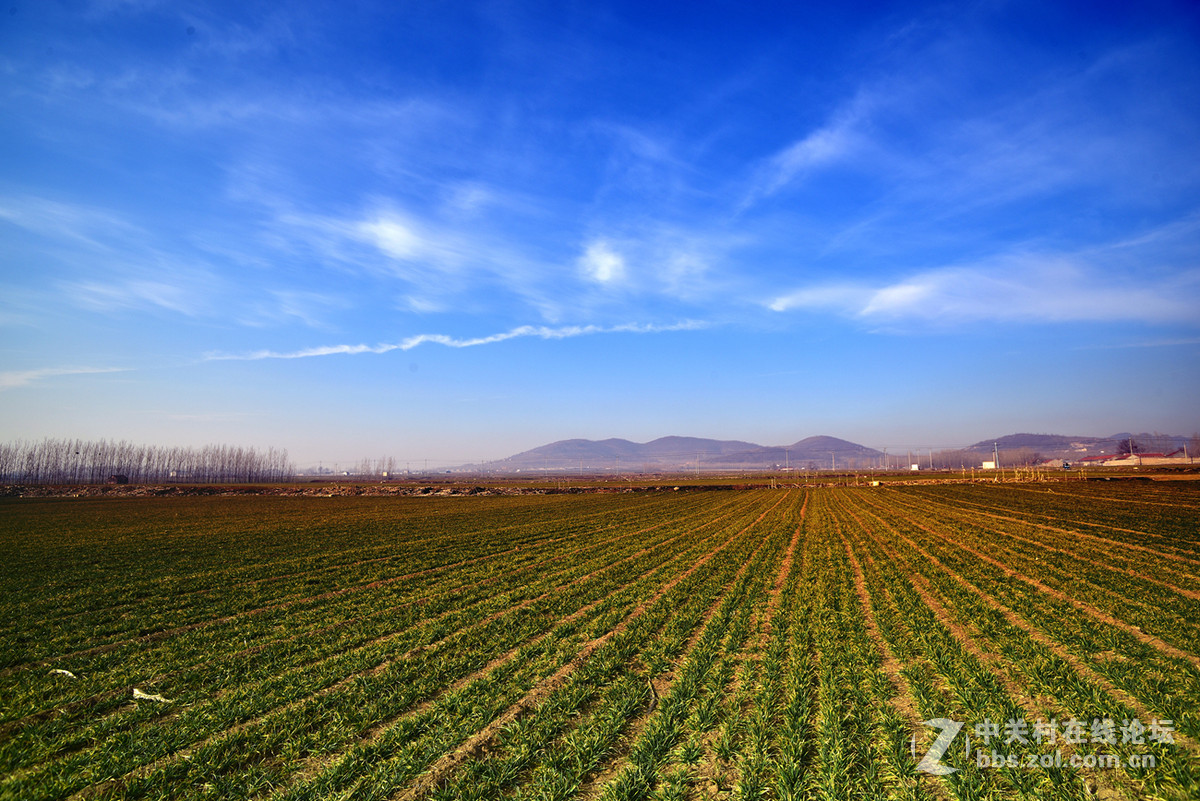 大年初一头一回！！
