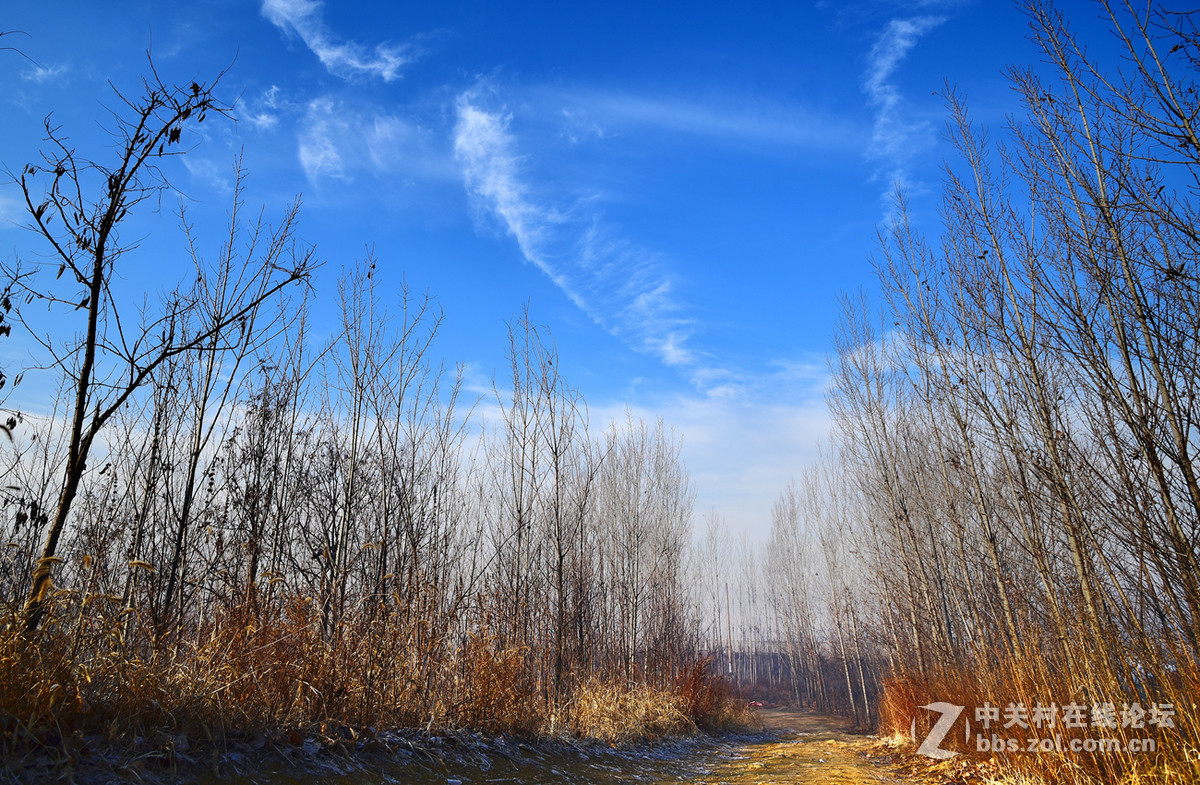 大年初一头一回！！