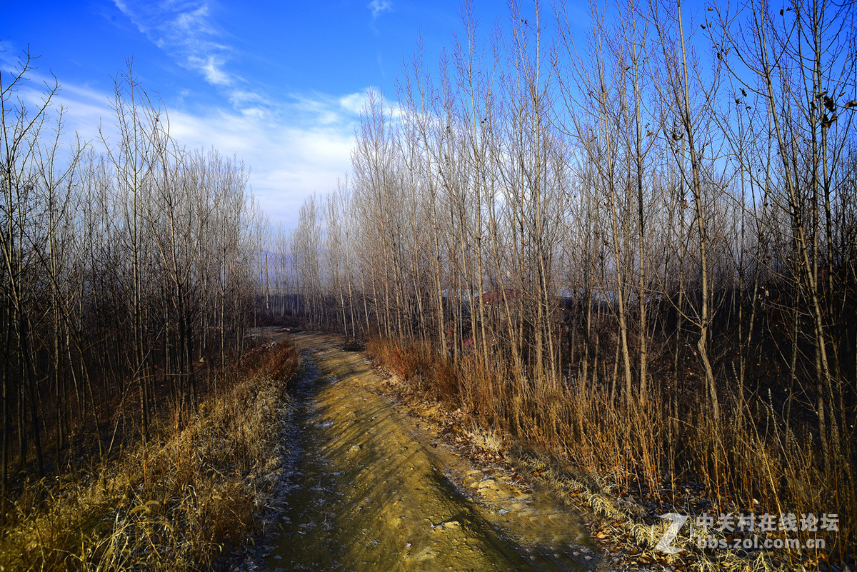 大年初一头一回！！