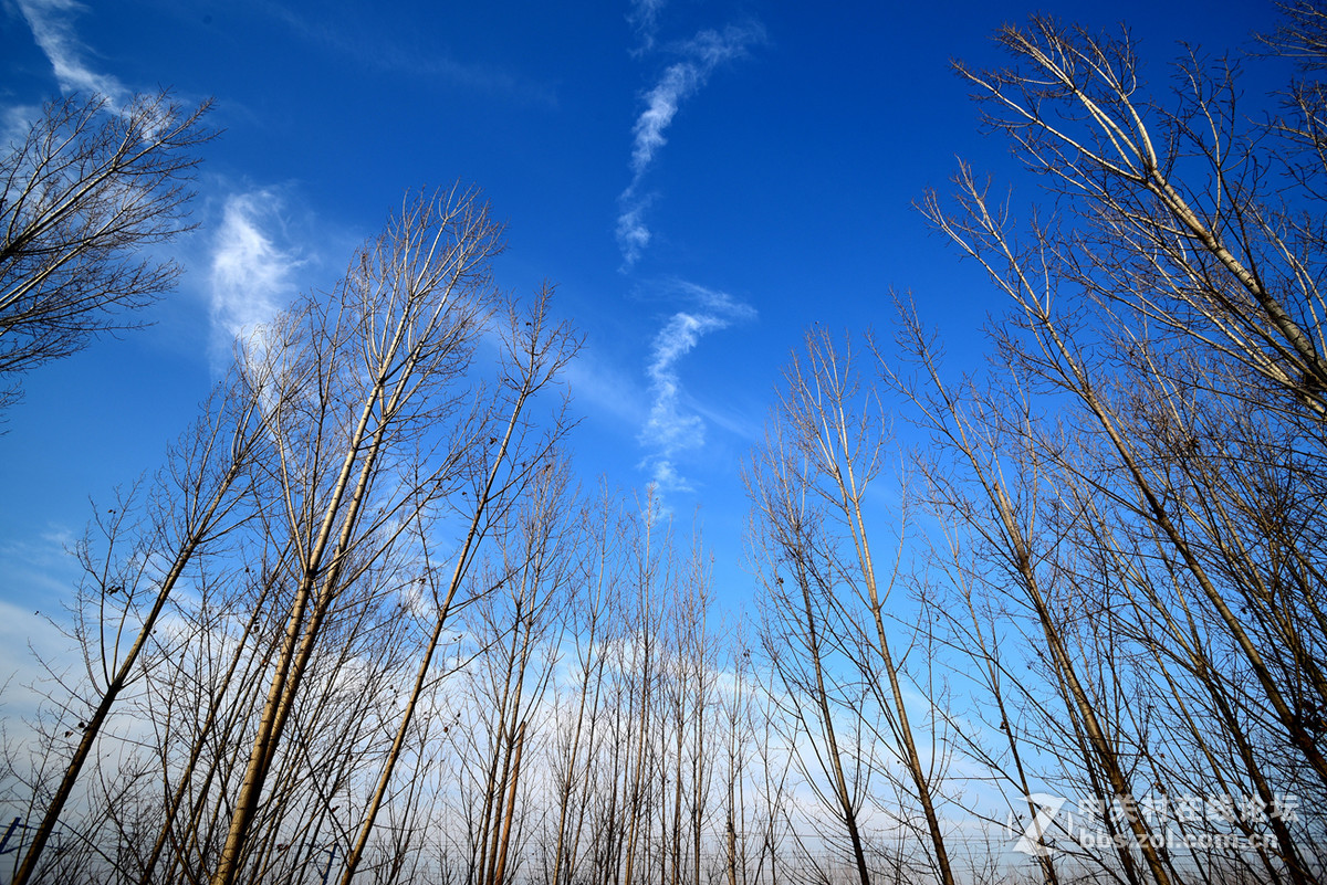 大年初一头一回！！