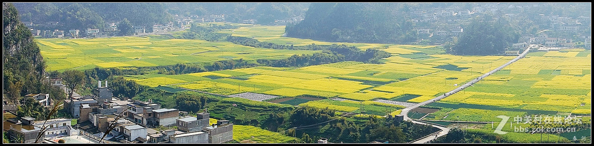 万峰林田园风光（2）