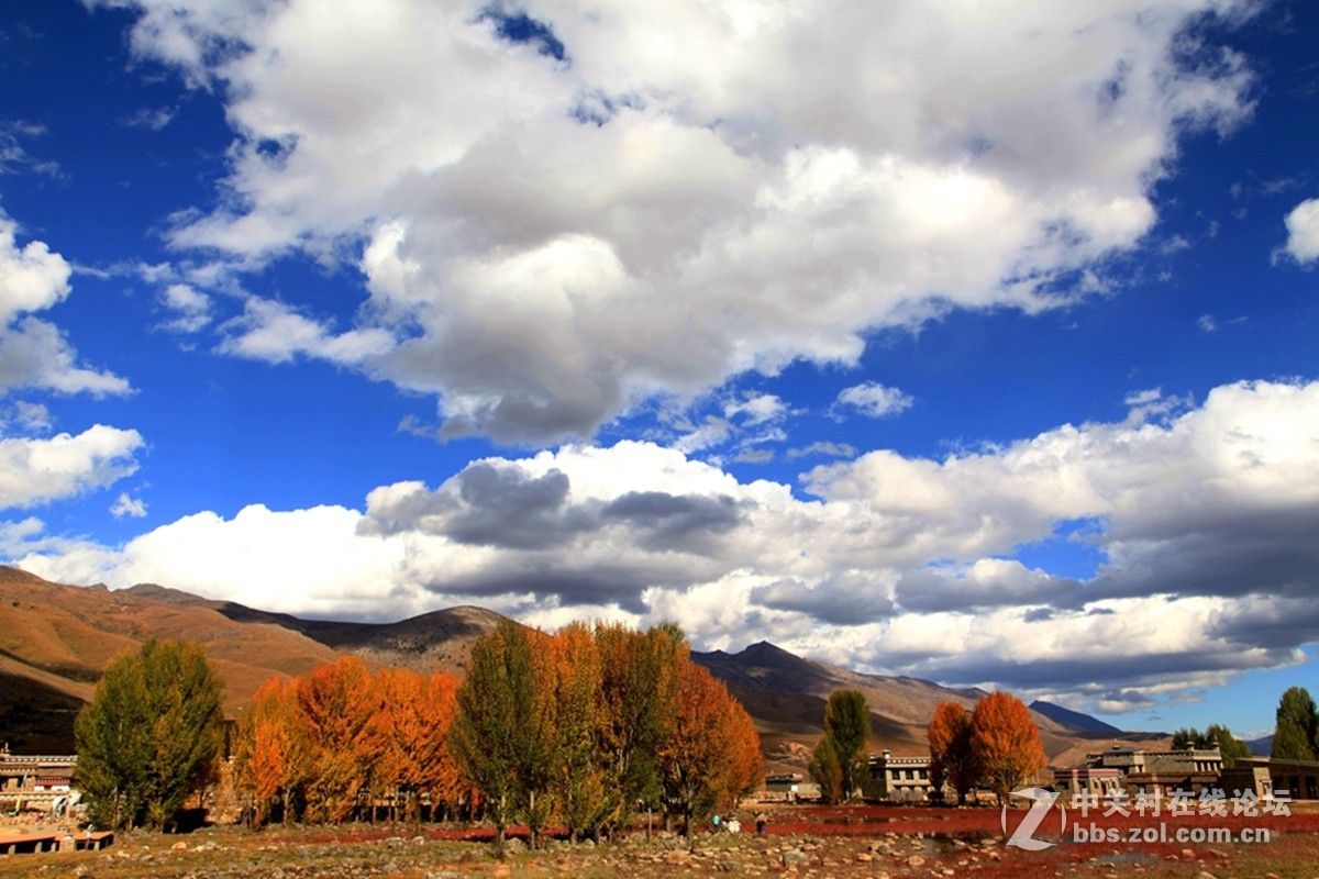 稻城桑堆镇红草地