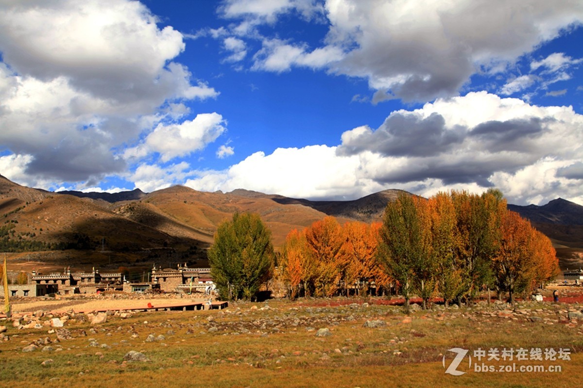 稻城桑堆镇红草地