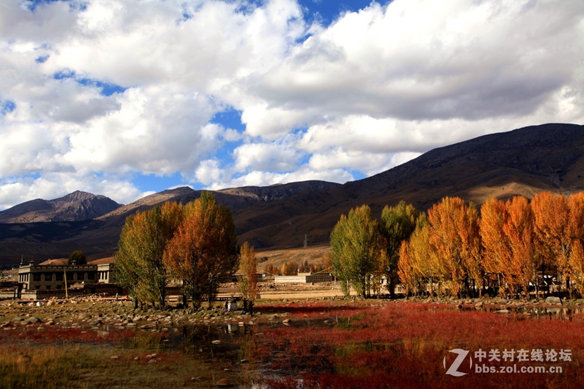 稻城桑堆镇红草地