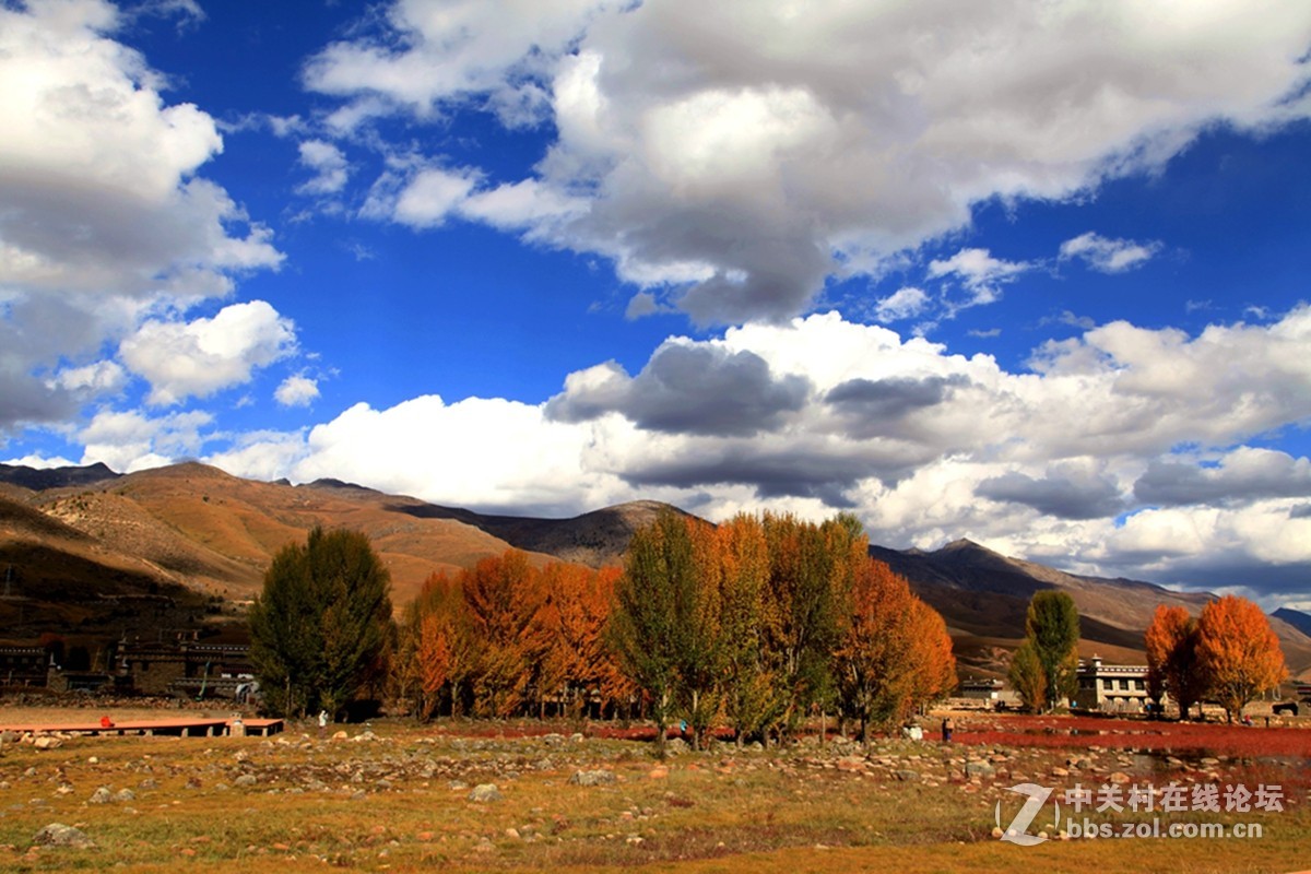 稻城桑堆镇红草地