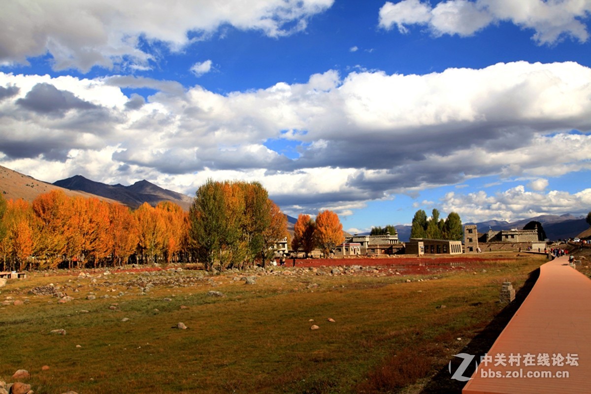 稻城桑堆镇红草地