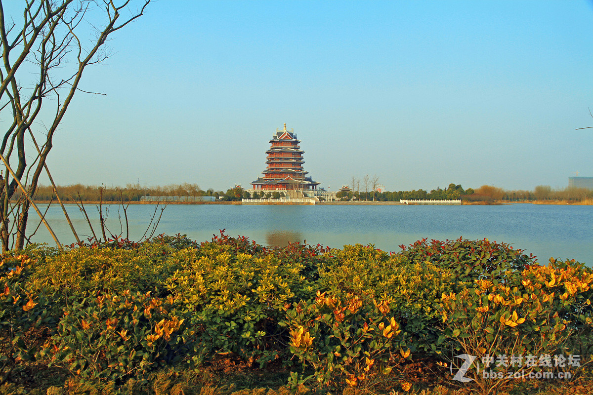 邳州沙沟湖水杉公园风景