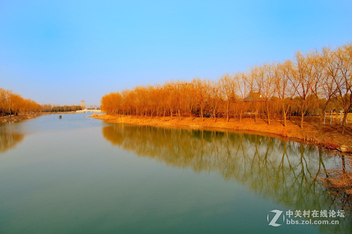 邳州沙沟湖水杉公园风景