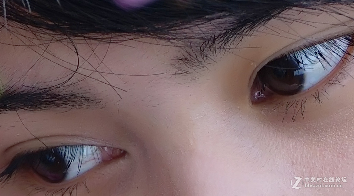 --索尼黄吗？没毛的老虎说：不！