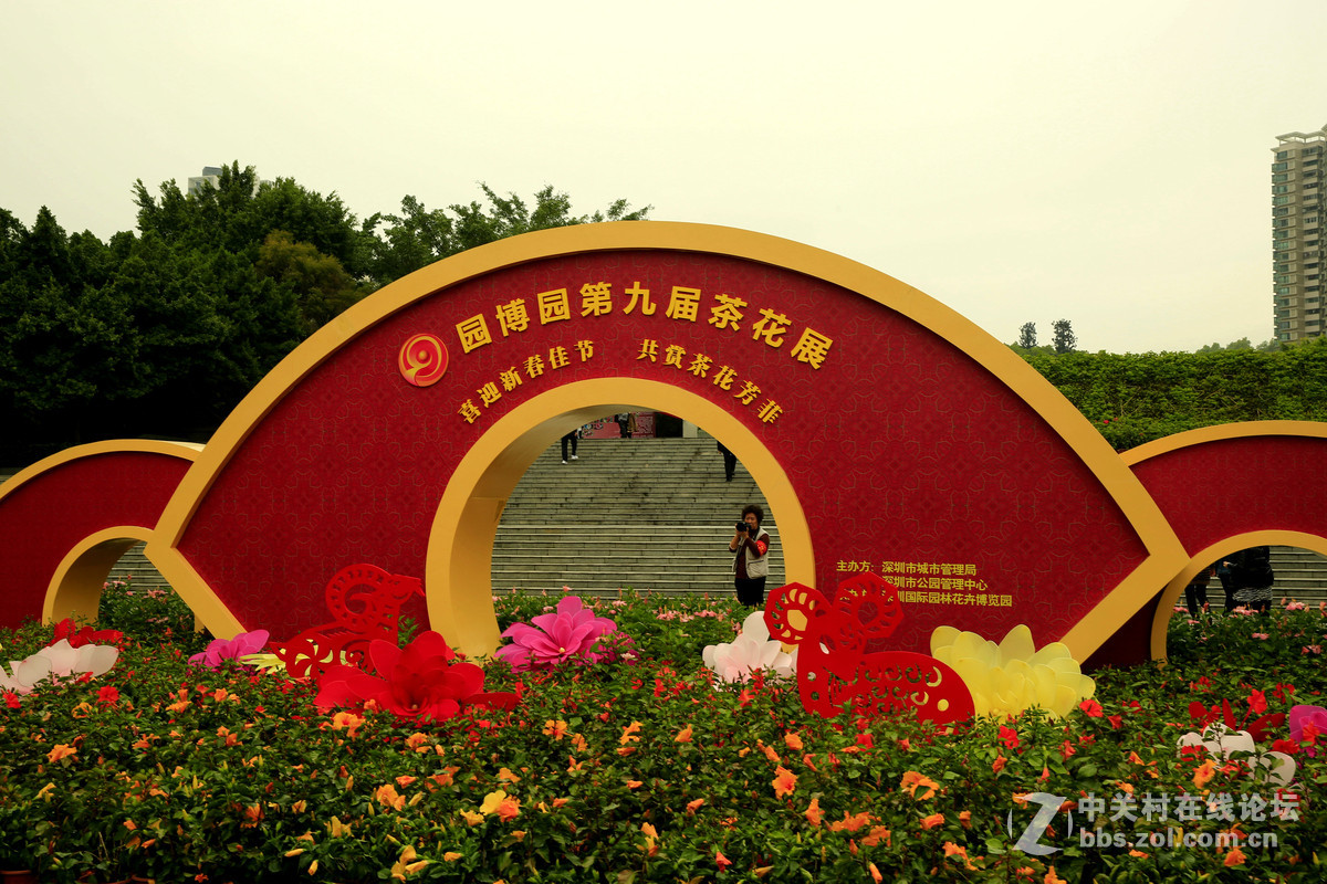圆博园茶花展