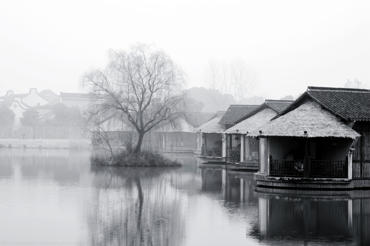 #春节美好瞬间#《乌镇，来过不曾离开》