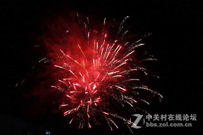 带几张烟花图片向各位老师拜年了