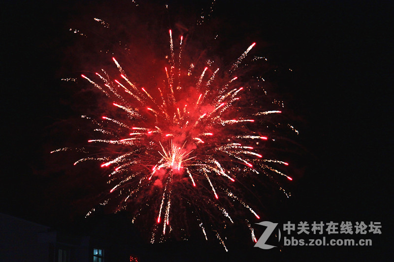 带几张烟花图片向各位老师拜年了