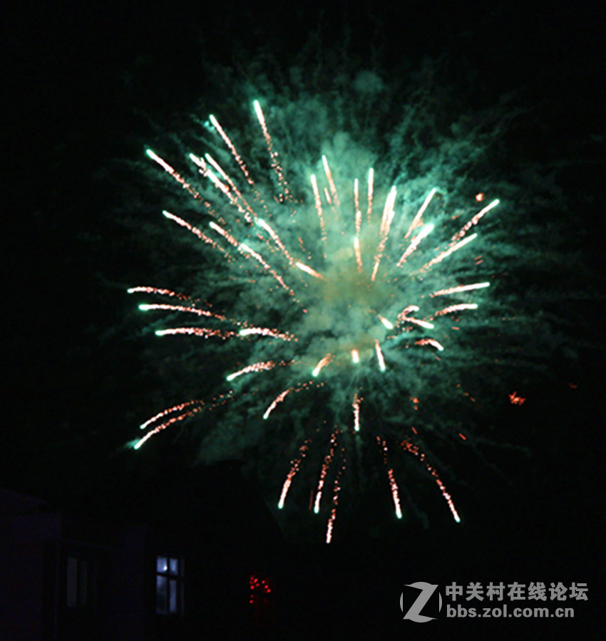 带几张烟花图片向各位老师拜年了