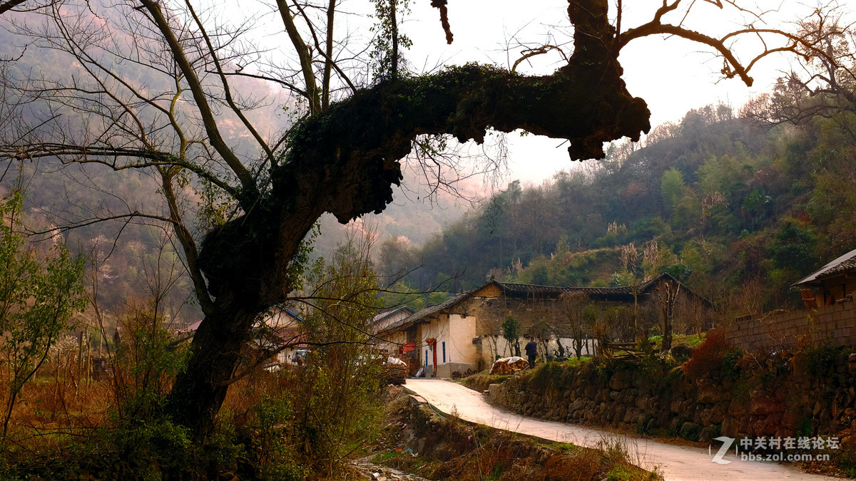 美丽乡村行，看看100t的色彩