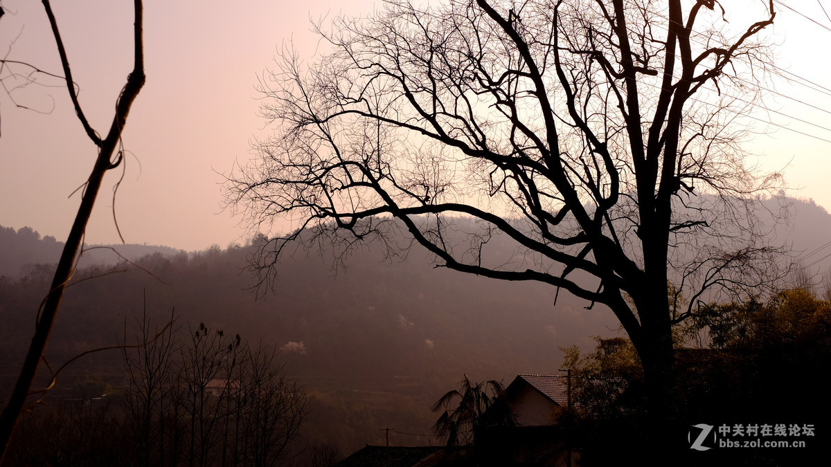 美丽乡村行，看看100t的色彩