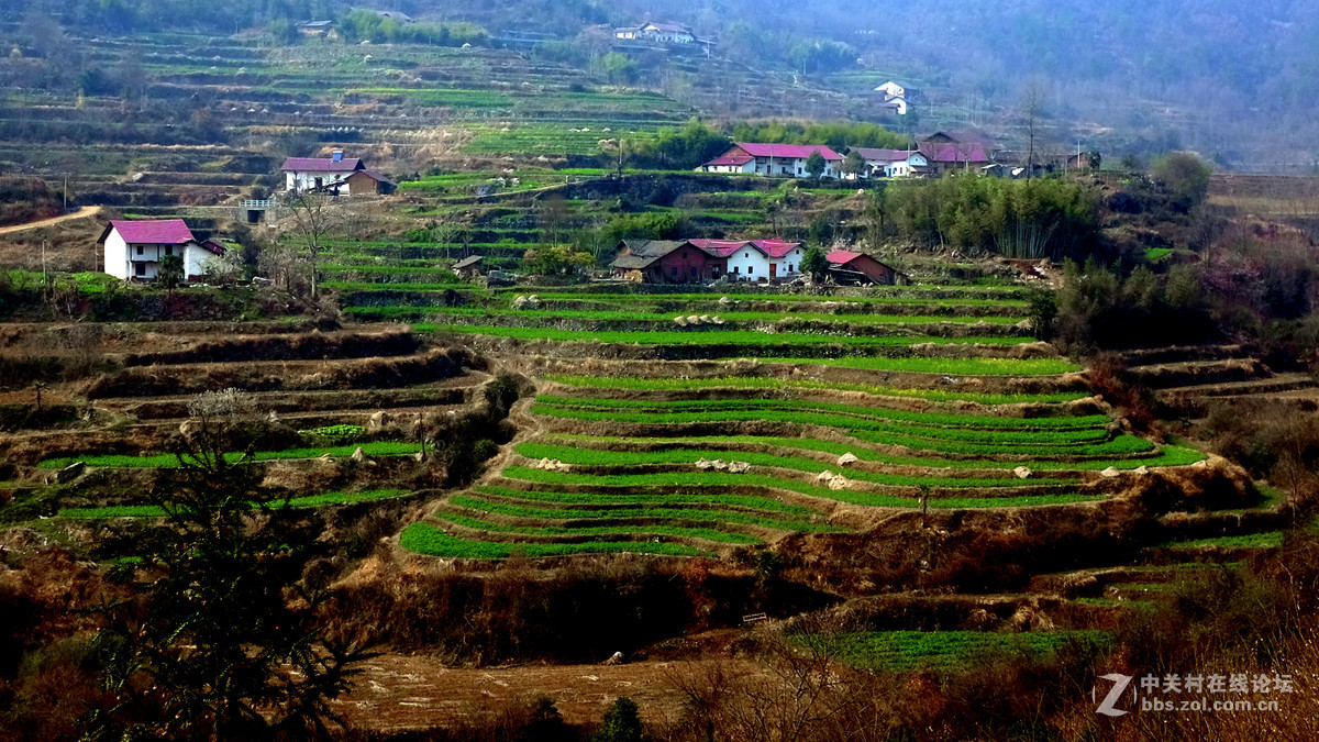 美丽乡村行，看看100t的色彩